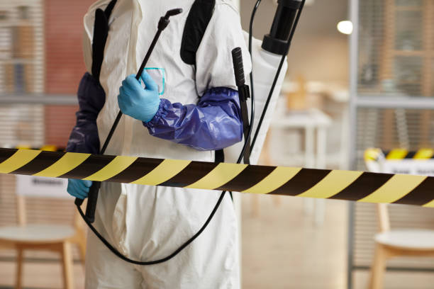 Professional Biohazard technician working in Overton, TX